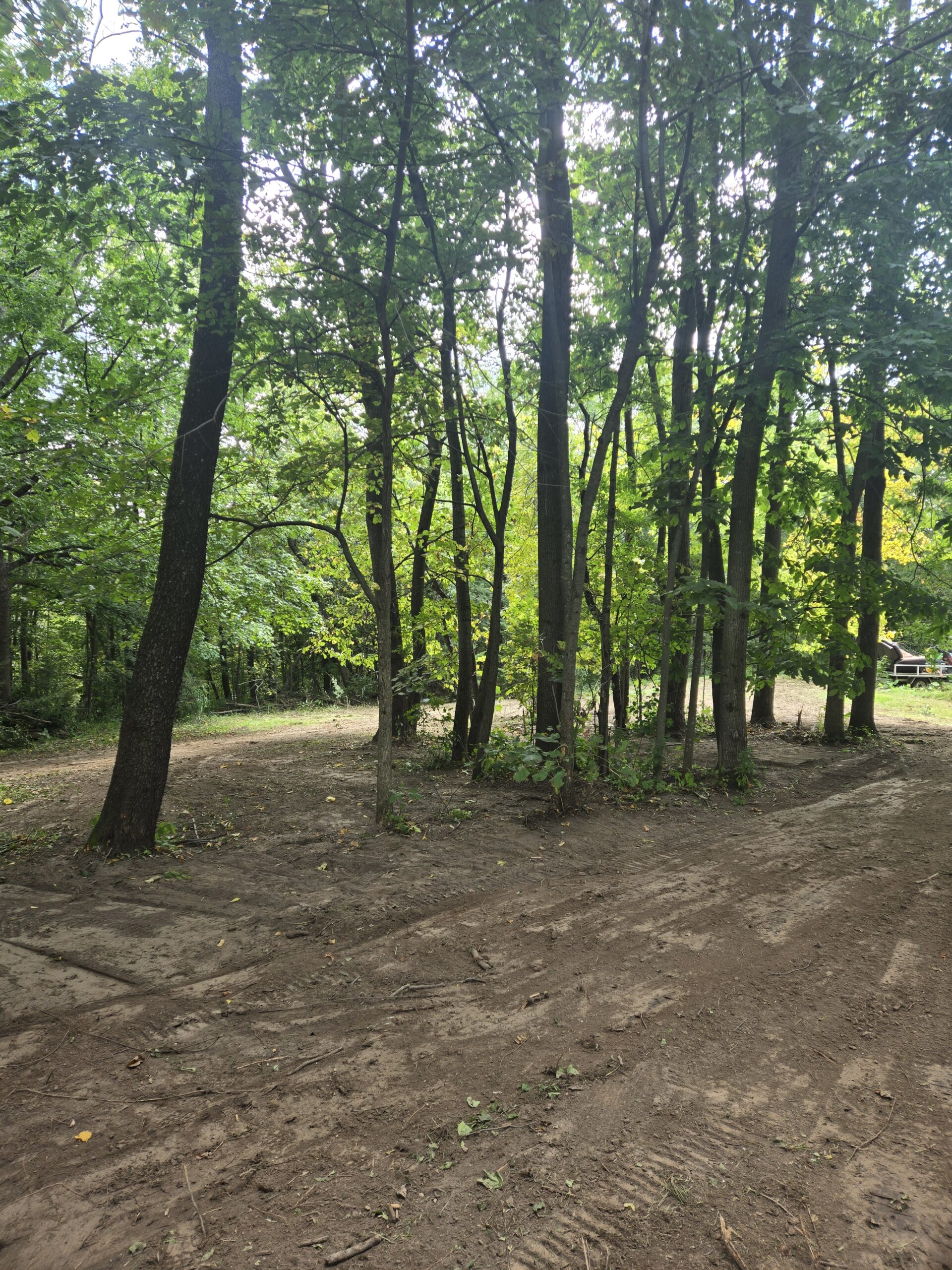 before-and-after-img